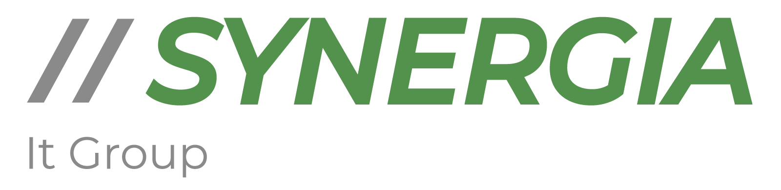 Synergia IT Group